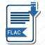 document, extension, file, flac, format 