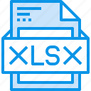 data, document, file, format, type, xlsx