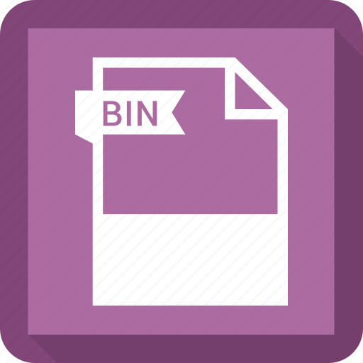 Bin, document, extension, format, paper icon - Download on Iconfinder