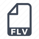 file, flv, format
