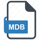 database, file, file format, mdb