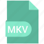 extension, file, mkv, name 
