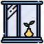 window, plant, furniture, household, pot 