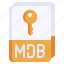 mdb, format, key, file, extension, document 