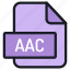 file, folder, format, type, archive, document, extension, aac 