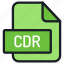 file, folder, format, type, archive, document, extension, cdr 
