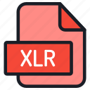 file, folder, format, type, archive, document, extension, xlr