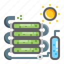 photobioreactor, microalgae, electricity, energy