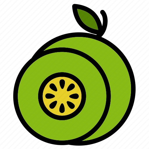Fruit, kiwi, nature, food, organic, healthy, vitamin icon - Download on Iconfinder