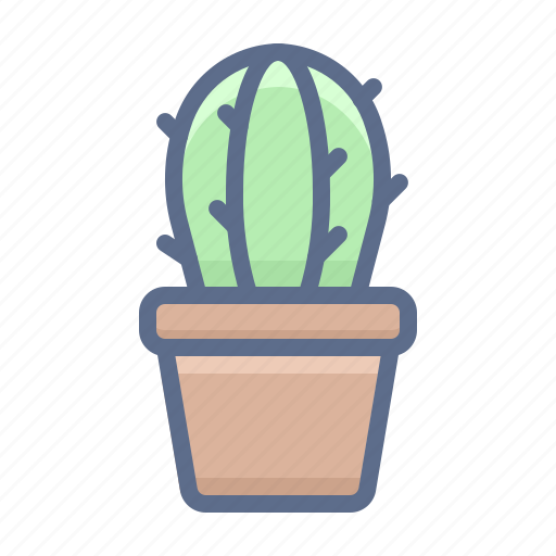 Cactus, home, houseplant, interior, plant icon - Download on Iconfinder