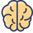 brain, health, intelligent, medical, neurology