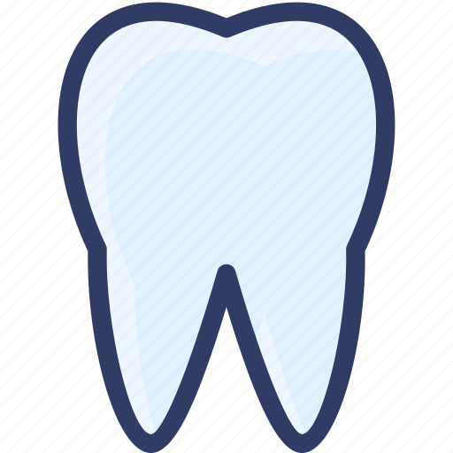 Dental, dentist, health, medical, tooth icon - Download on Iconfinder