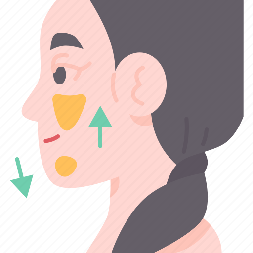 Face, skin, filler, contour, rejuvenation icon - Download on Iconfinder