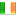 Team Applications Ireland-Flag