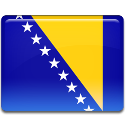 Flag, bosnian icon - Free download on Iconfinder