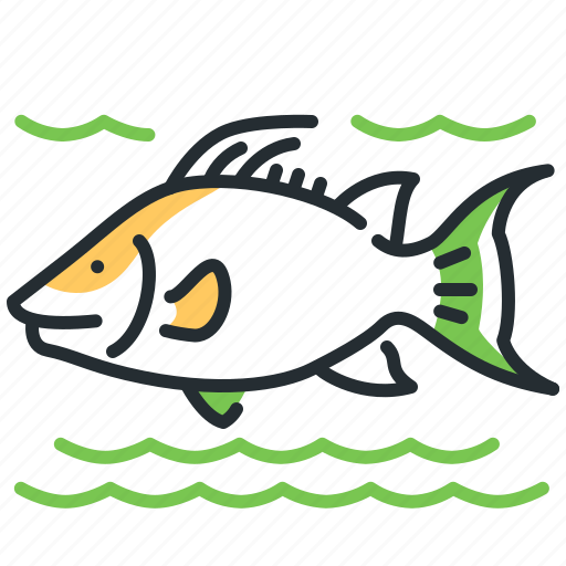 Fish, hogfish, sea, wrasse icon - Download on Iconfinder