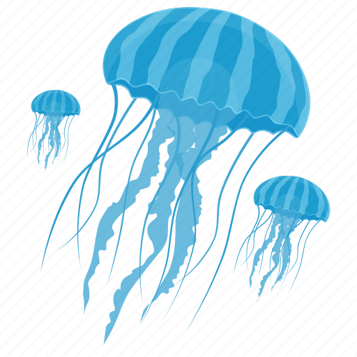 Jellyfish icon - Download on Iconfinder on Iconfinder