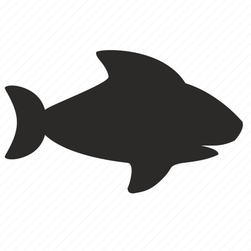 Fish, shark icon - Download on Iconfinder on Iconfinder