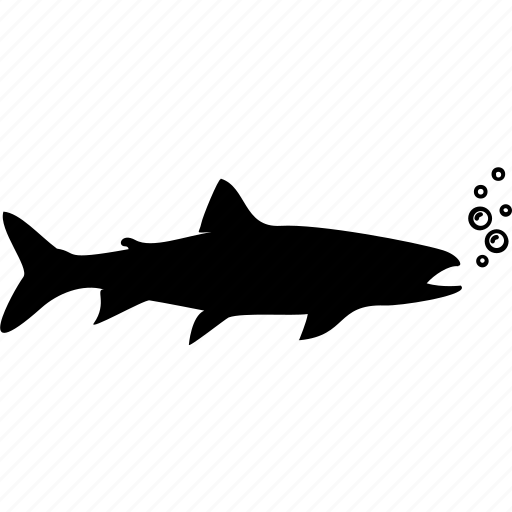 Fish, shark, shark attack, shark fin, shark warning, ocean, sea icon - Download on Iconfinder