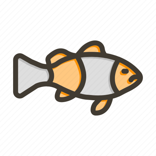 Clown fish, fish, sea, ocean, water icon - Download on Iconfinder