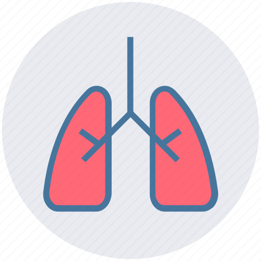 Anatomy, body, health, lung, lung cancer, lungs, organ icon - Download on Iconfinder