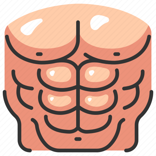 Abs, body, exercise, fitness, muscle, training, workout icon - Download on  Iconfinder