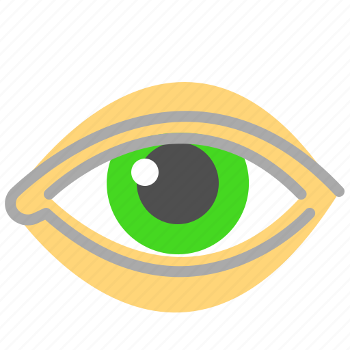 Eye, organ, see, sense, sight, watch icon - Download on Iconfinder
