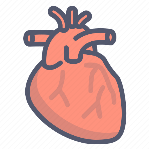 Blood, heart, medical, organ, vital icon - Download on Iconfinder