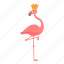 queen, flamingo, pink, bird 
