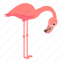cute, flamingo, pink, bird