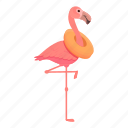 flamingo, animal, pink, bird