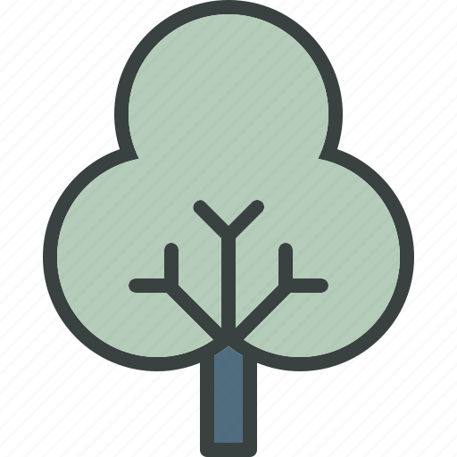 Decidious, ecology, forest, tree icon - Download on Iconfinder