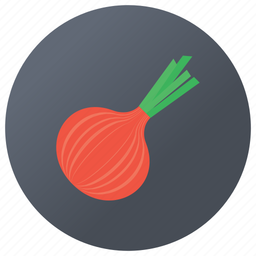 Allium cepa, bulb, edible food, onion, onion plant, vegetable icon - Download on Iconfinder