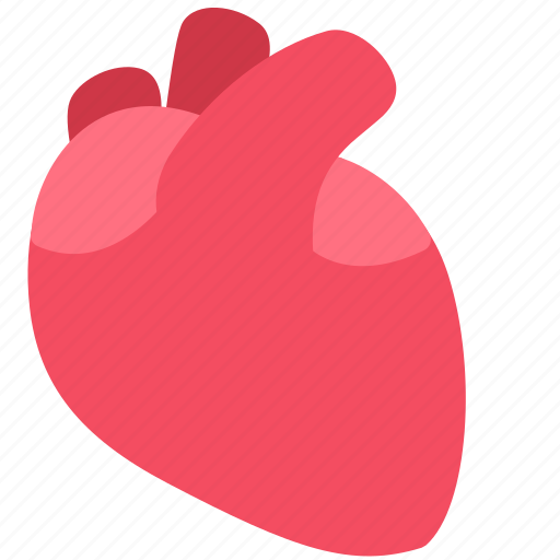 Health, healthcare, heart, medical, organ icon - Download on Iconfinder