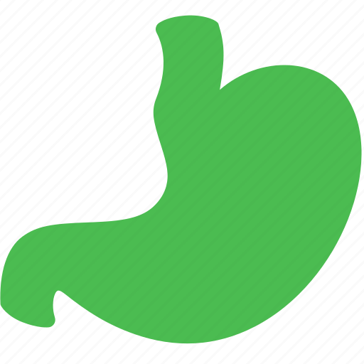 Digest, health, medical, organ, stomach icon - Download on Iconfinder