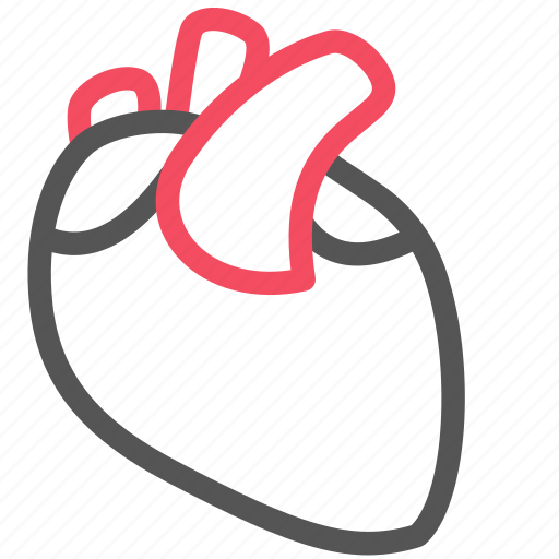Health, healthcare, heart, medical, organ icon - Download on Iconfinder