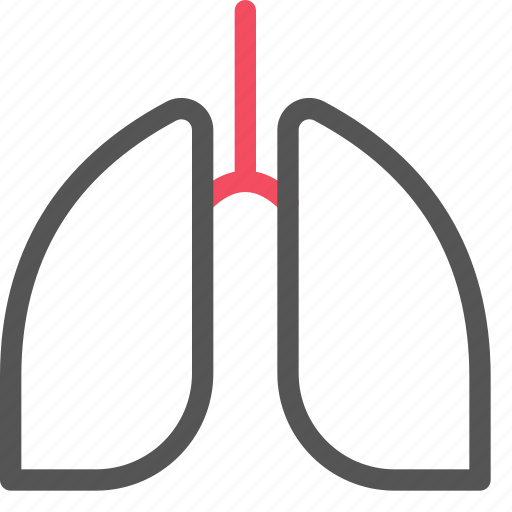 Health, healthcare, lung, medical, organ icon - Download on Iconfinder
