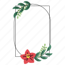 frame, blossom, flower, botany