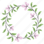 frame, blossom, flower, botany 
