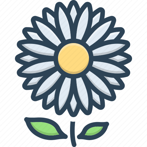 Bellis perennis, botanical, camomile, daisy, flower, horticulture, marguerite icon - Download on Iconfinder