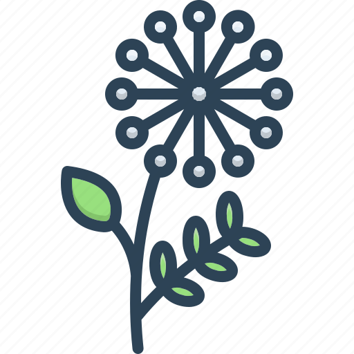 Blooming, flower, mimosa pudica, sensitive plant, shameplant, touch me not, zombie icon - Download on Iconfinder