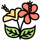 botany, chaba, decorative, plant, pollen