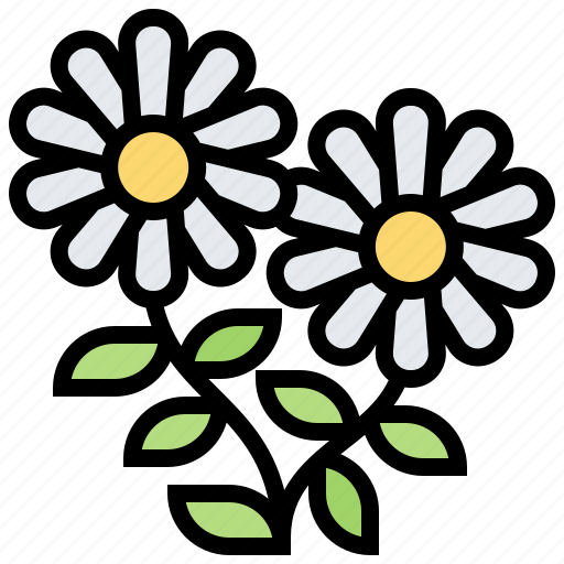 Blossom, chamomile, flora, petal, spring icon - Download on Iconfinder