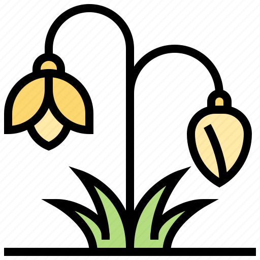 Blooming, flora, galanthus, snowdrop, winter icon - Download on Iconfinder