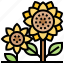 blossom, helianthus, plant, summer, sunflower 