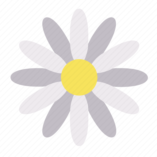 Daisy, nature, garden, plant, floral, flower icon - Download on Iconfinder