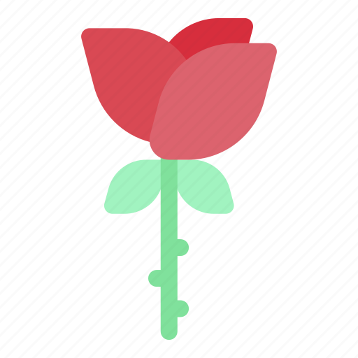 Rose, nature, garden, plant, floral, flower icon - Download on Iconfinder