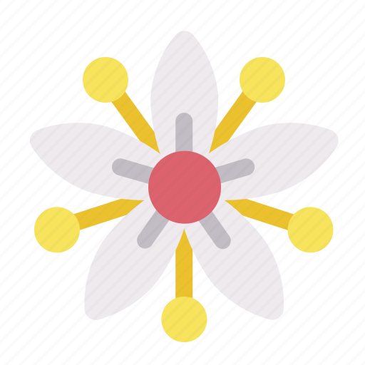 Spider, nature, garden, plant, floral, flower icon - Download on Iconfinder