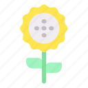 sunflower, nature, garden, plant, floral, flower