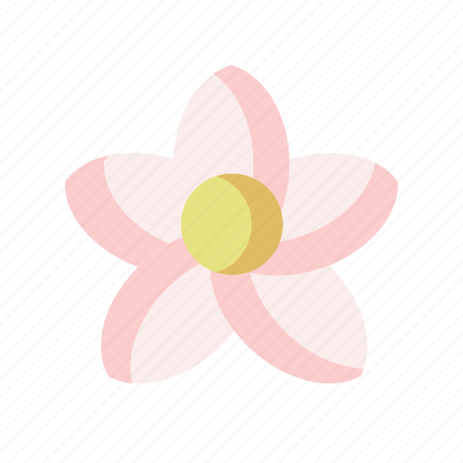Plumeria, blossom, garden, botany, spa, flower icon - Download on Iconfinder